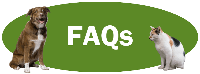 CLICK HERE for answers to frequently asked questions.