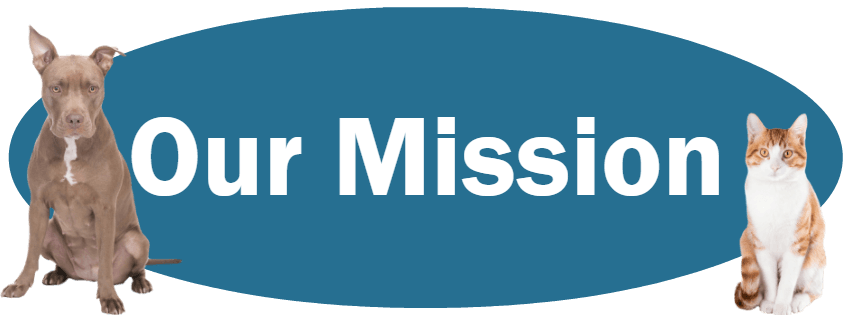 CLICK HERE to learn about our mission.