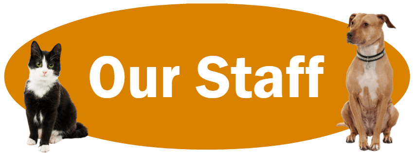 CLICK HERE to learn more about our staff.