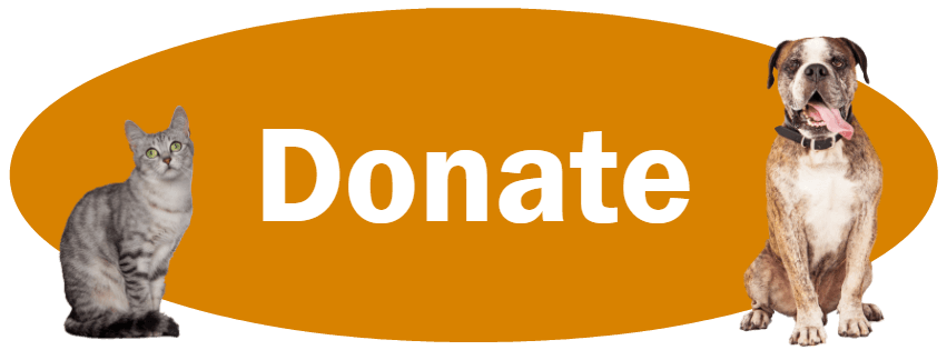 CLICK HERE to make a financial donation to the Porter County Animal Shelter.