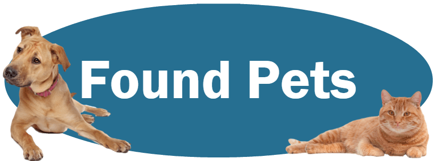CLICK HERE To Learn About Our Policies For Found Pets