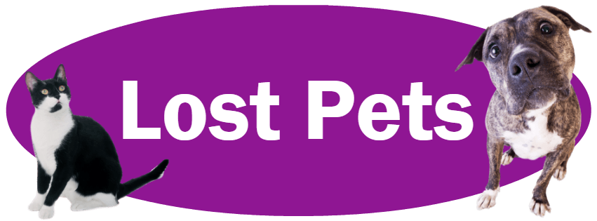 CLICK HERE To Learn About Our Policies For Lost Pets