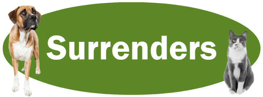 CLICK HERE To Learn About Our Owner Surrender Policies