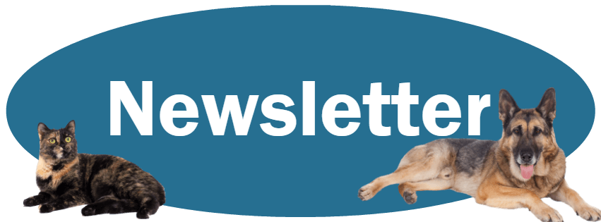 Newsletter Page banner