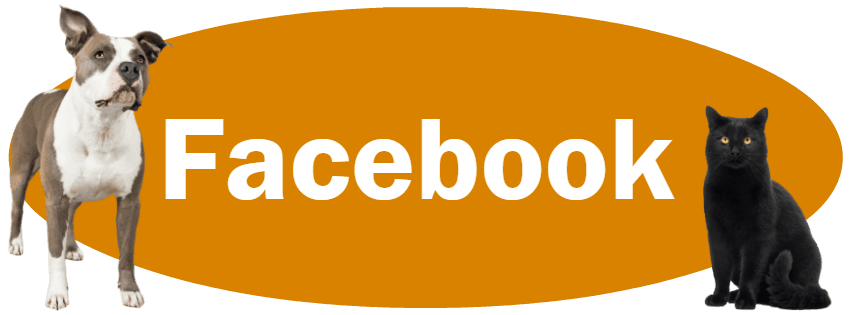 CLICK HERE for information about following us on Facebook.