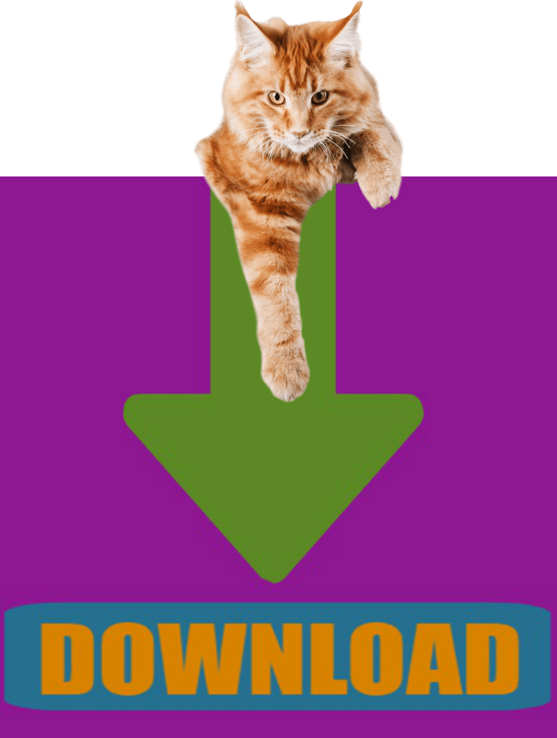 CLICK HERE To Download Complete Animal Control Ordinance