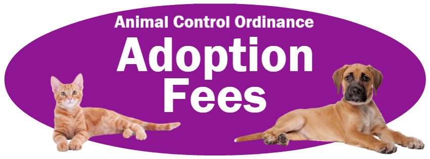 CLICK HERE to read the Adoption Fees section of the Animal Control Ordinance