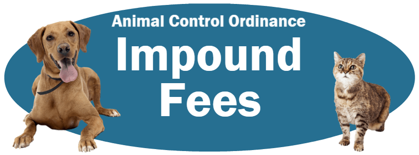 CLICK HERE to read the Impound Fees section of the Animal Control Ordinance