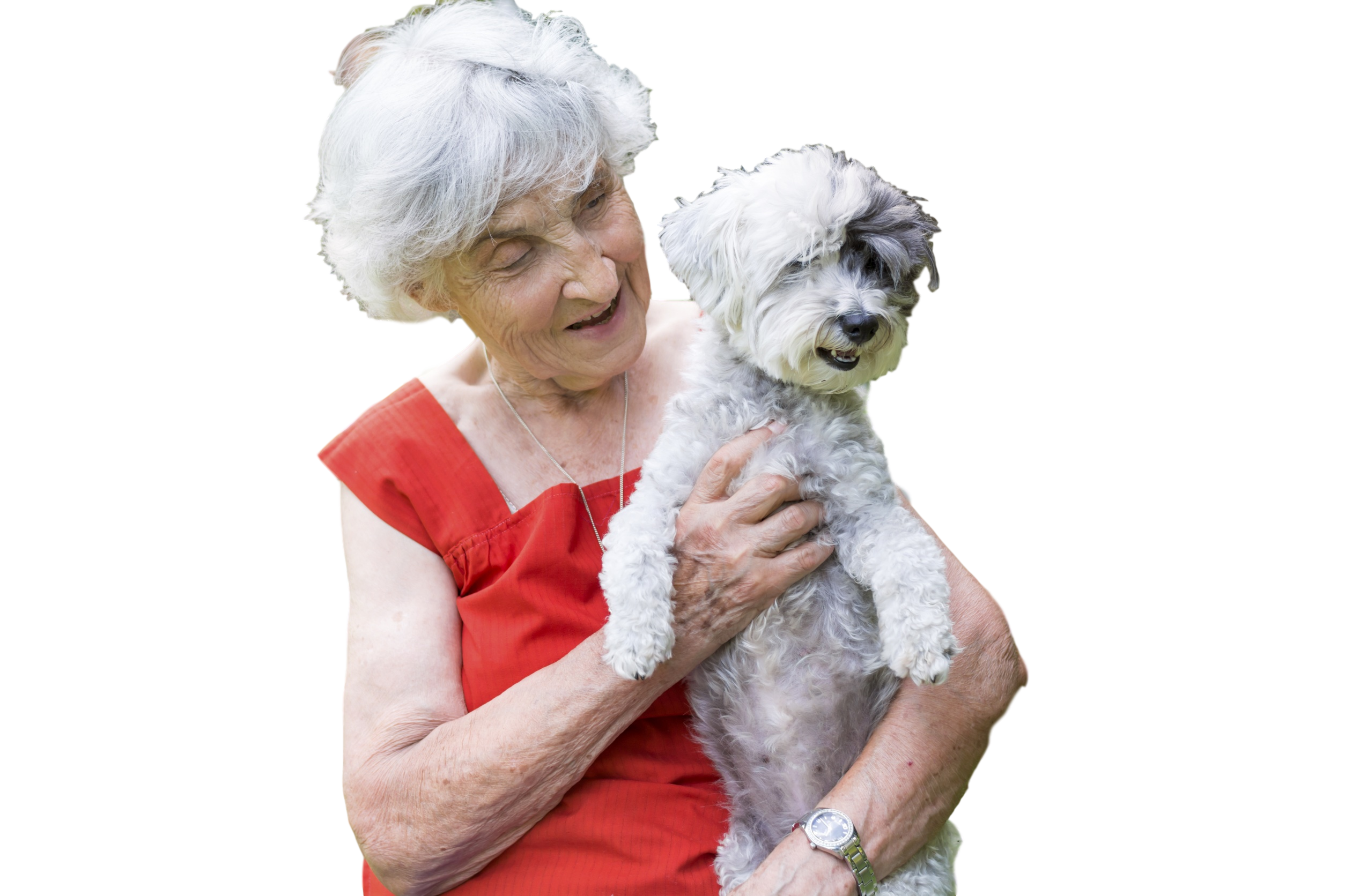 Senior Couple With Senior Cat