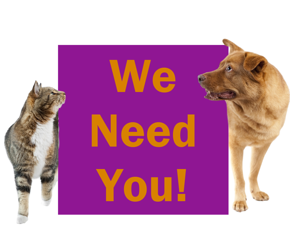 Dog and cat holding a sign that says We Need You