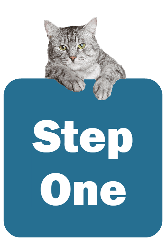 Cat holding a sign that says Step One