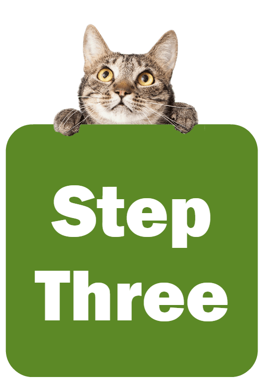 Cat holding a sign that says Step Three