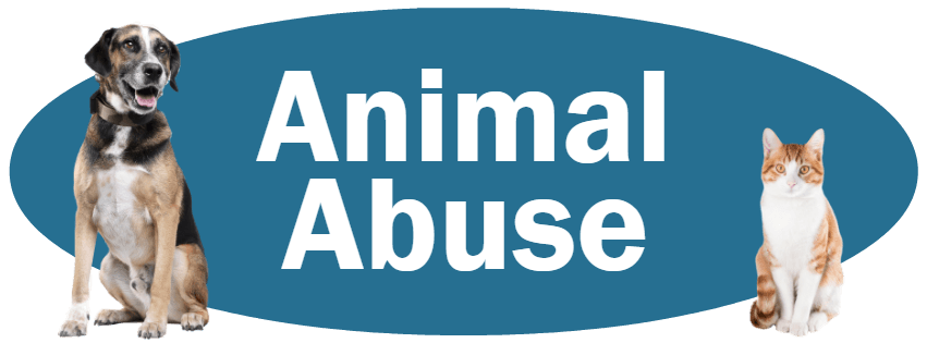 CLICK HERE For Information About Reporting Animal Abuse