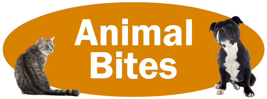 CLICK HERE For Information About Reporting Animal Bites