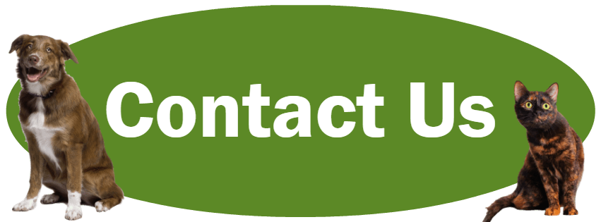 CLICK HERE For Contact Information For Animal Control