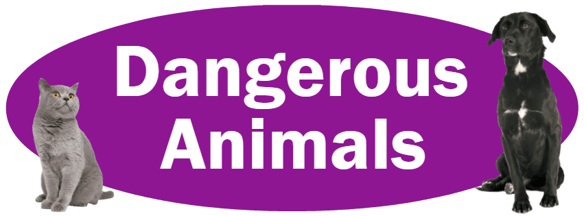 CLICK HERE For Information About Reporting Dangerous Animals