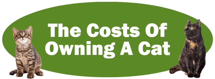 CLICK HERE For Information About The Costs Of Owning A Cat 