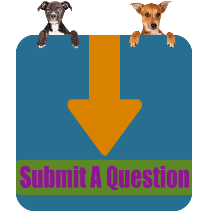 CLICK HERE To Submit Your Question About Adopting Dogs ONLINE NOW!