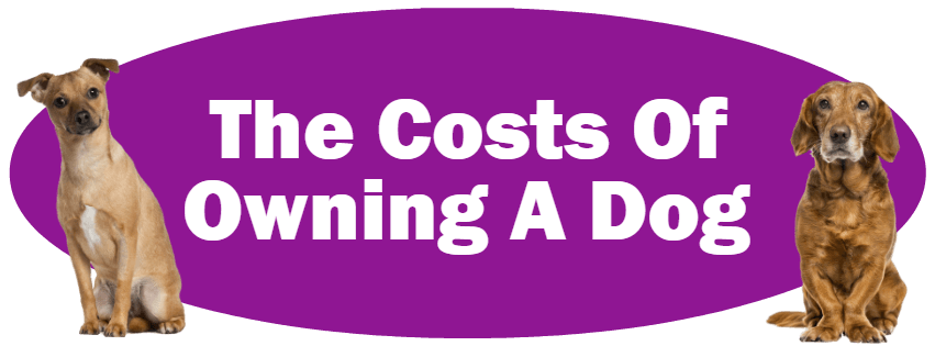 CLICK HERE For Information About The Costs Of Owning A Dog