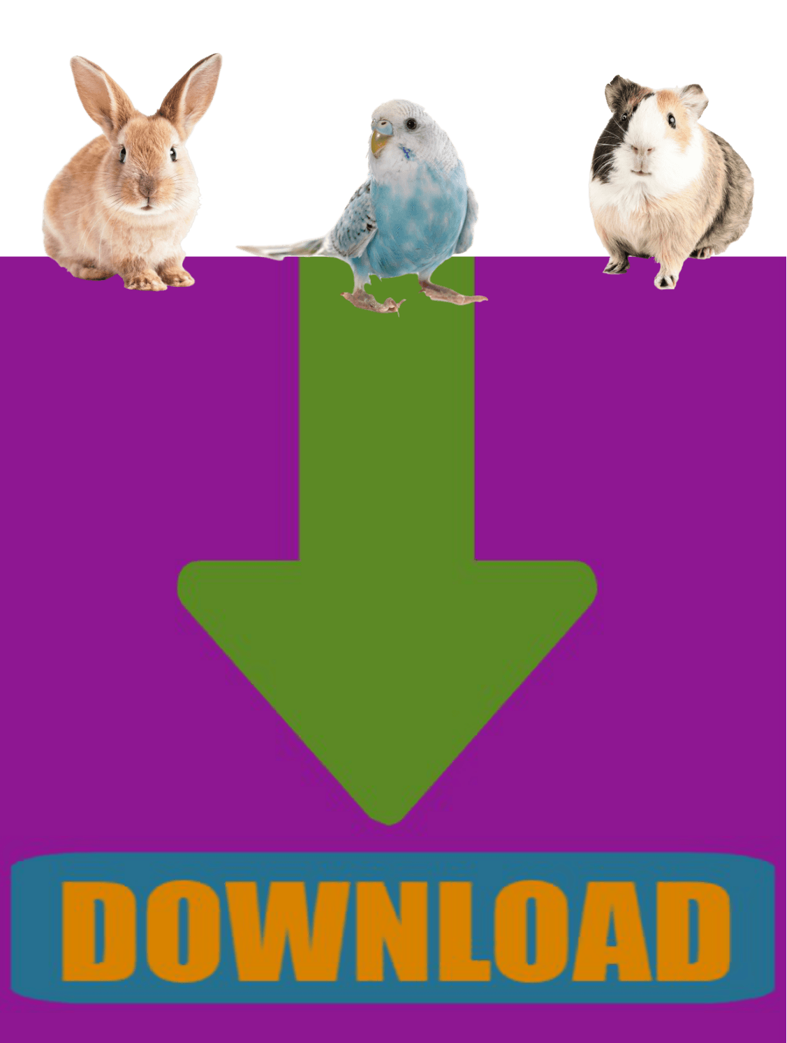 CLICK HERE to download the Porter County Animal Shelter Adoption Application