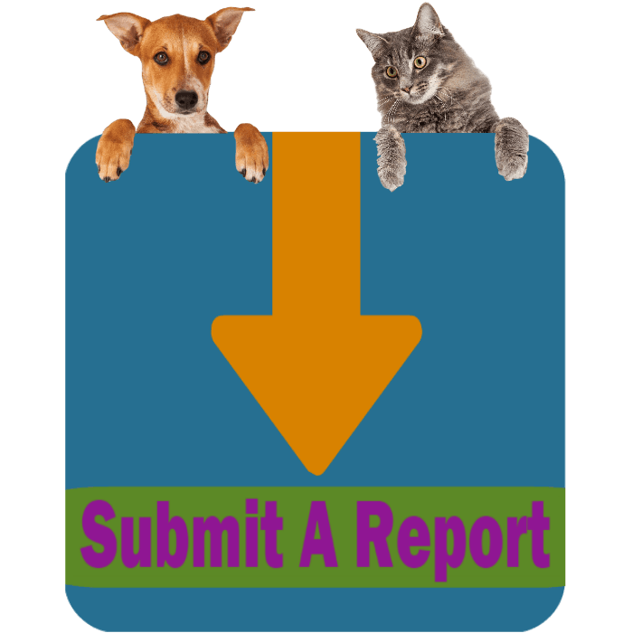 CLICK HERE To Submit An Online Animal Control Report