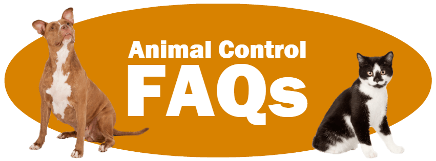 CLICK HERE for the answers to frequently asked Animal Control questions.