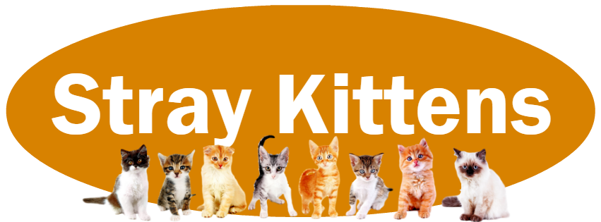 CLICK HERE for what to do and NOT do if you find stray kittens.