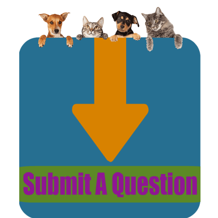 CLICK HERE To Submit A Question About Fostering Online Now!