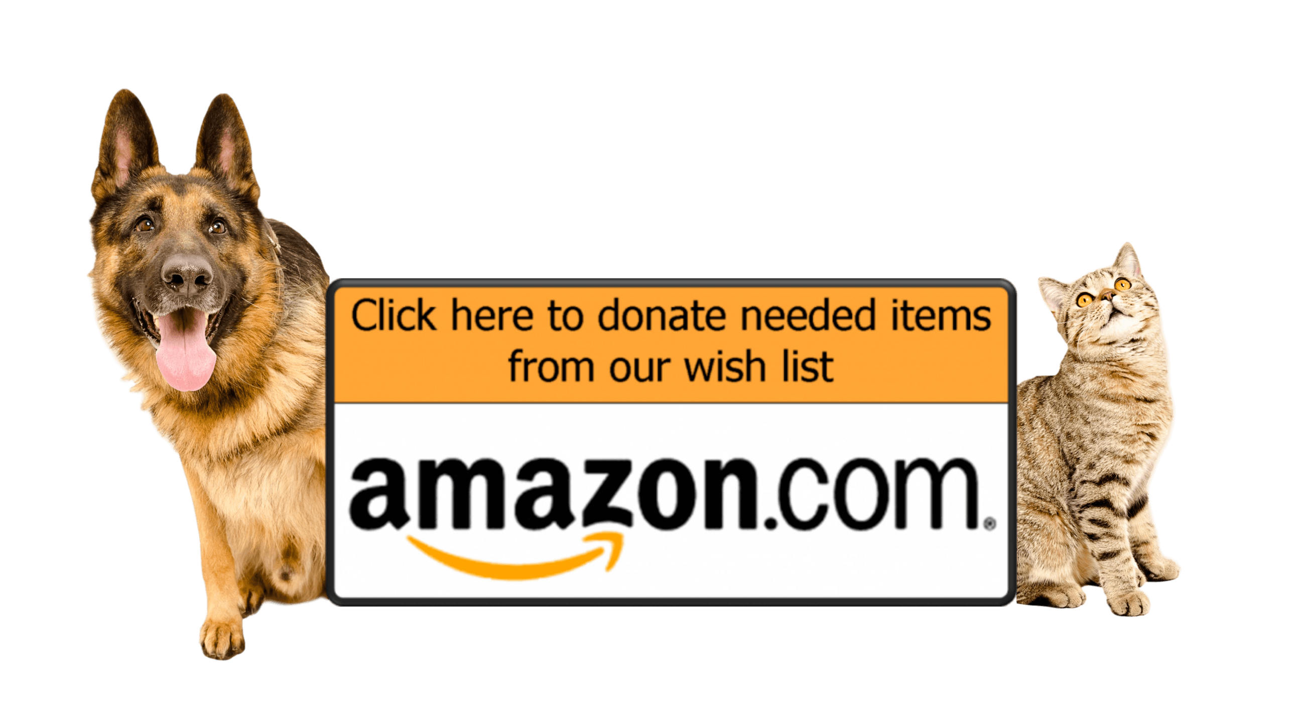 CLICK HERE To View And Purchase From Our Amazon Wish List!