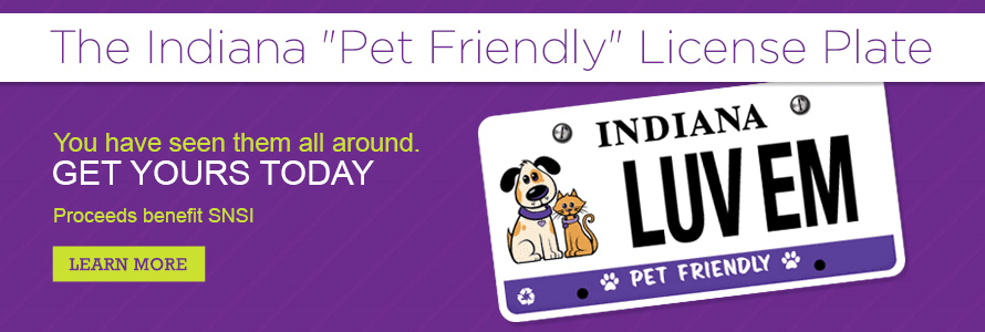 Pet Friendly License plate page banner
