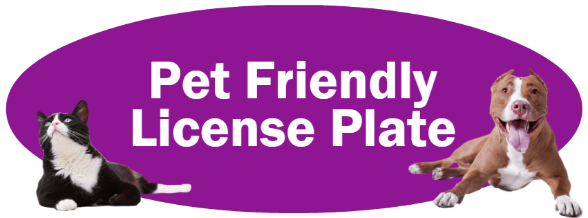 CLICK HERE to learn more about the Indiana Pet Friendly License Plate