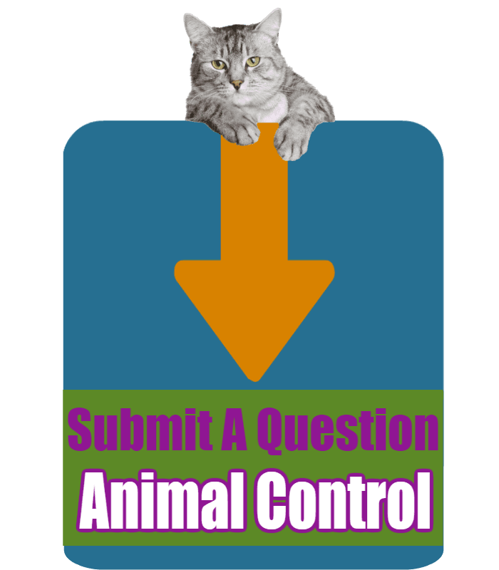 CLICK HERE to submit your online question about Animal Control
