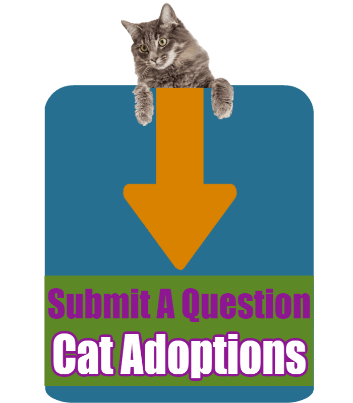 CLICK HERE to submit your online question about Cat Adoptions