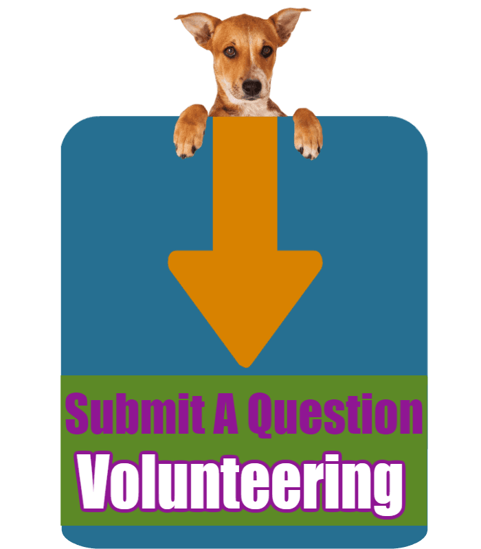 CLICK HERE to submit your online question about Volunteering