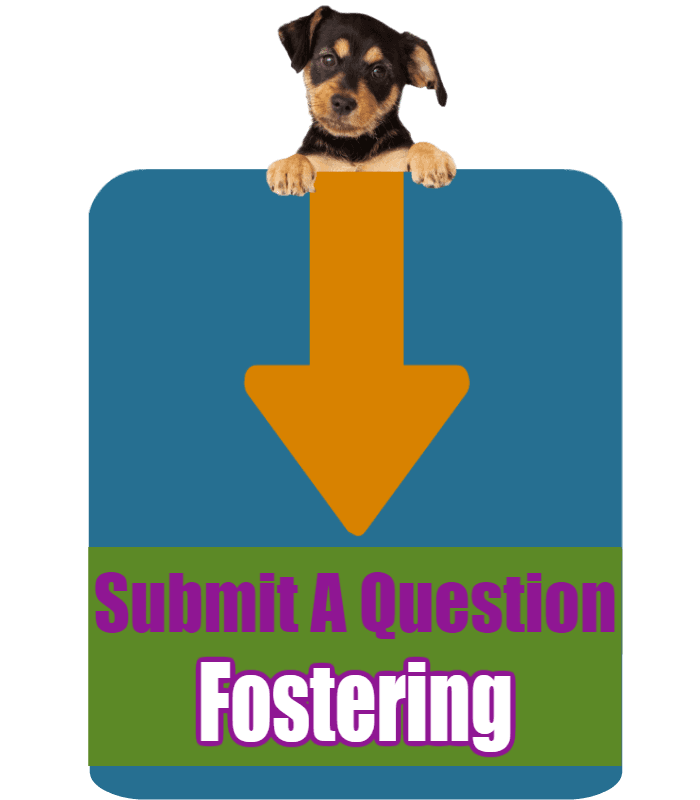 CLICK HERE to submit your online question about Fostering