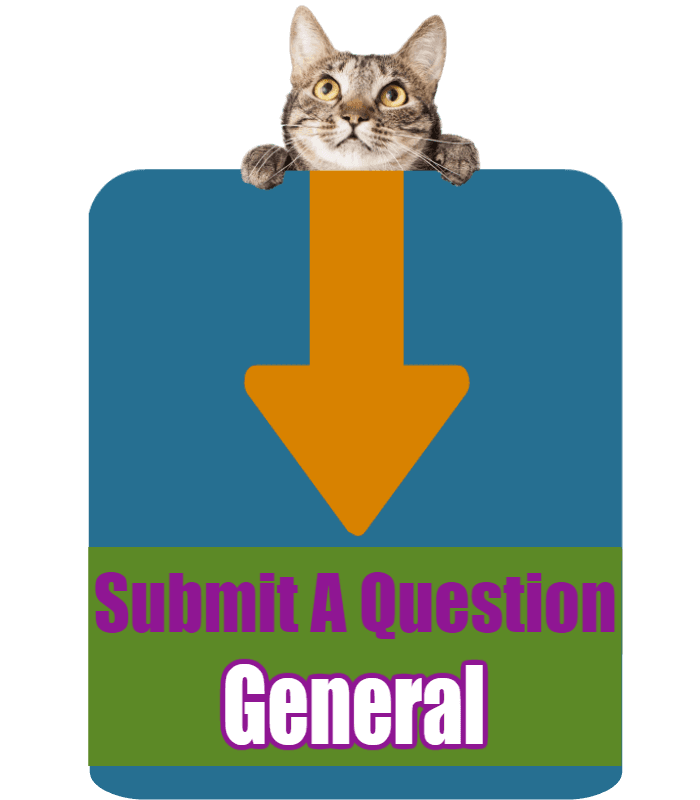 CLICK HERE to submit your online question about General Topics