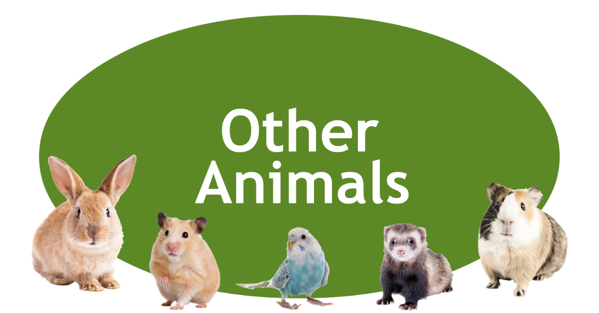 Other Animals Page Banner