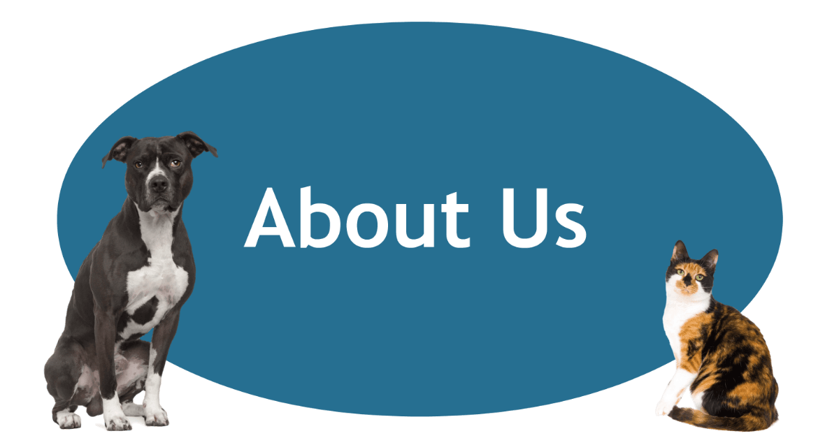 About Us Page Banner