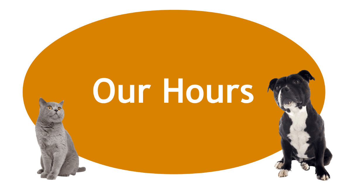 Our Hours Page Banner