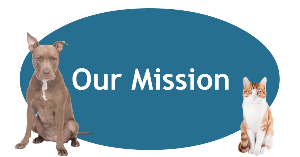 Our Mission Page Banner