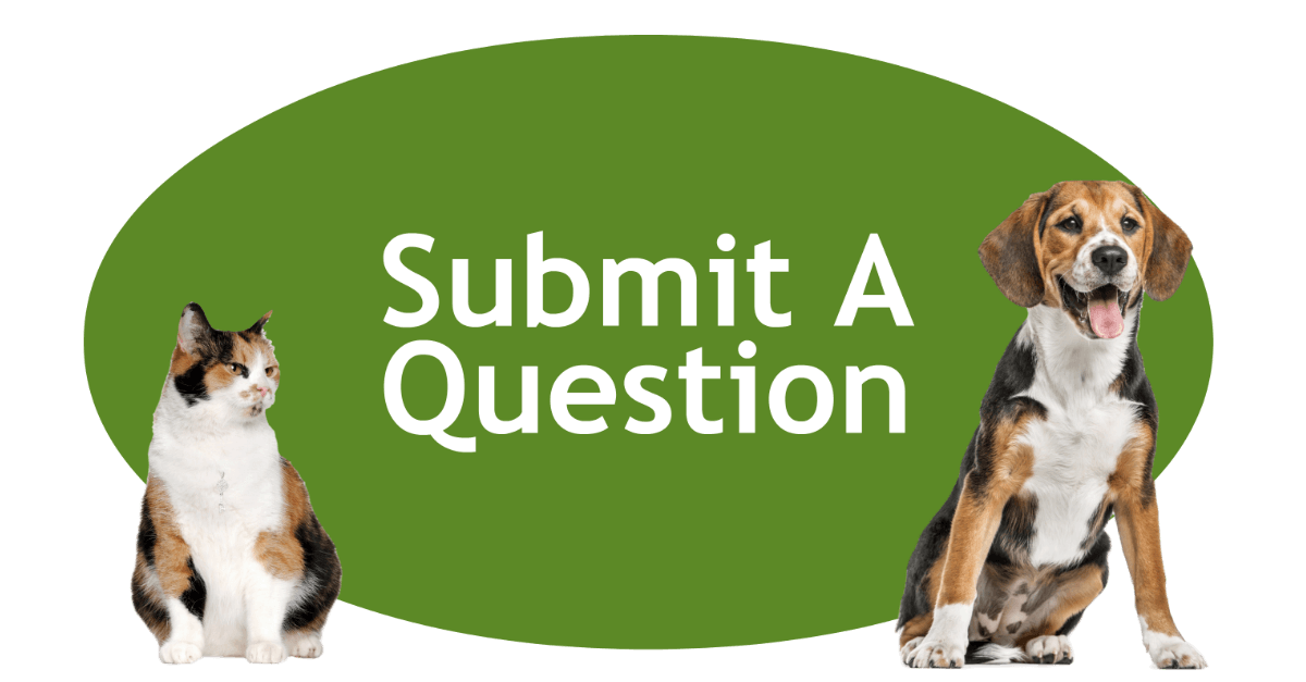Submit A Question Page Banner