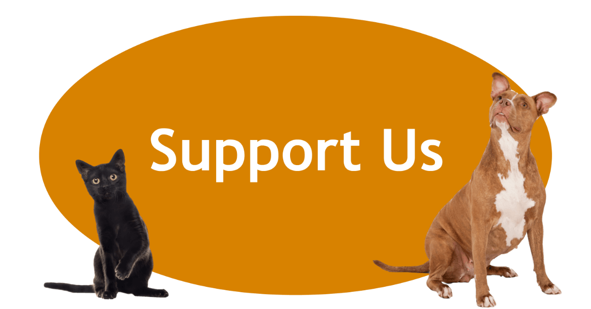 Support Us Page Banner