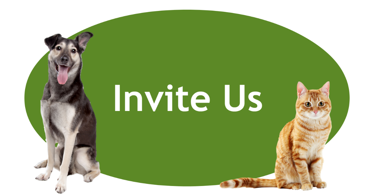 Invite Us Page Banner