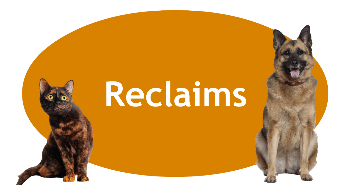 Reclaims Page Banner