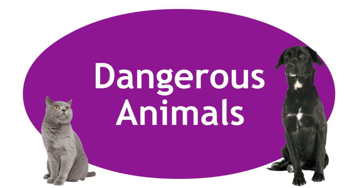 Dangerous Animals Page Banner