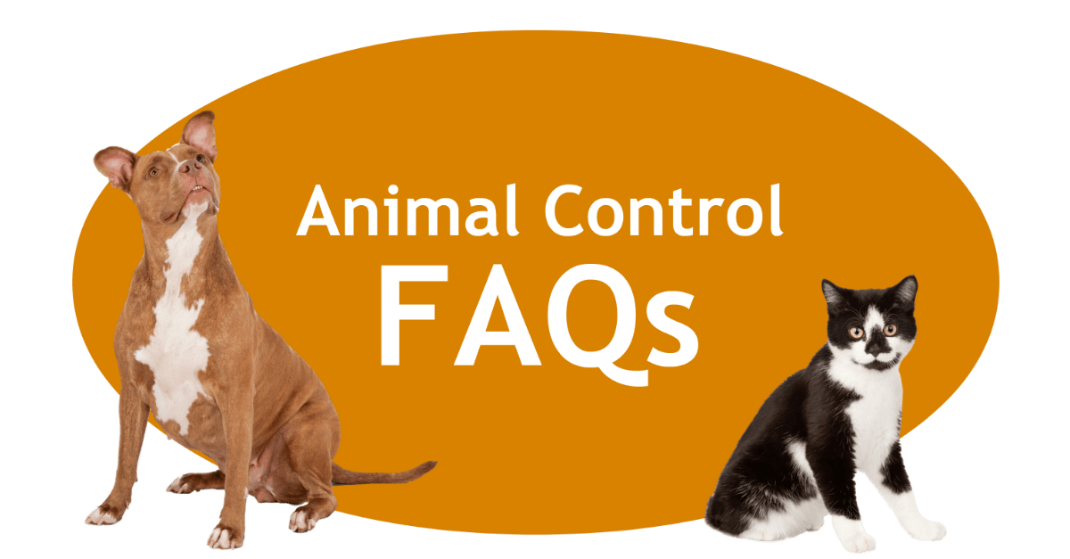 Animal Control FAQ Page Banner
