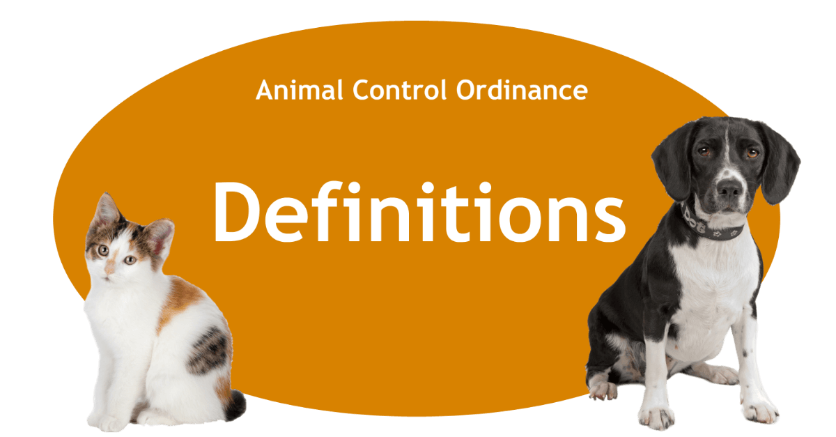 Definitions Page Banner