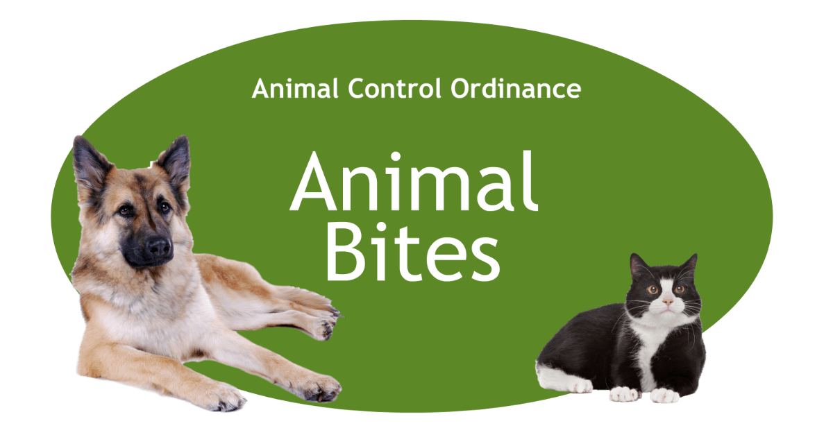 Animal Bites Page Banner