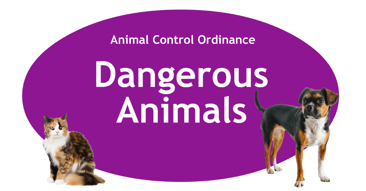 Dangerous Animals Page Banner