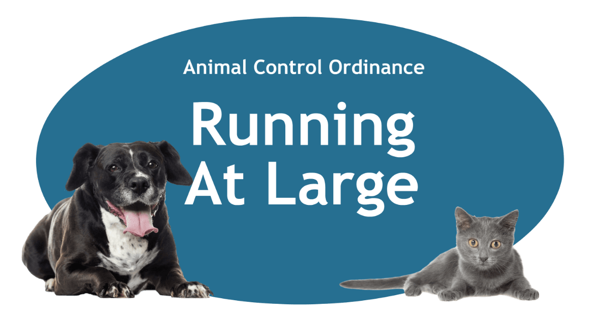 Running At Large Page BAnner